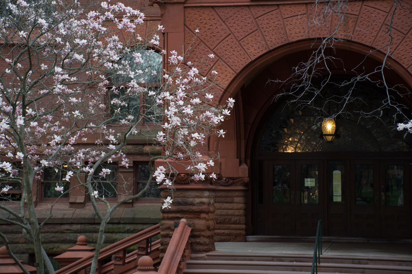 Entrance to Fisher Fine Arts Library
