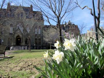College Hall with Daffodils 