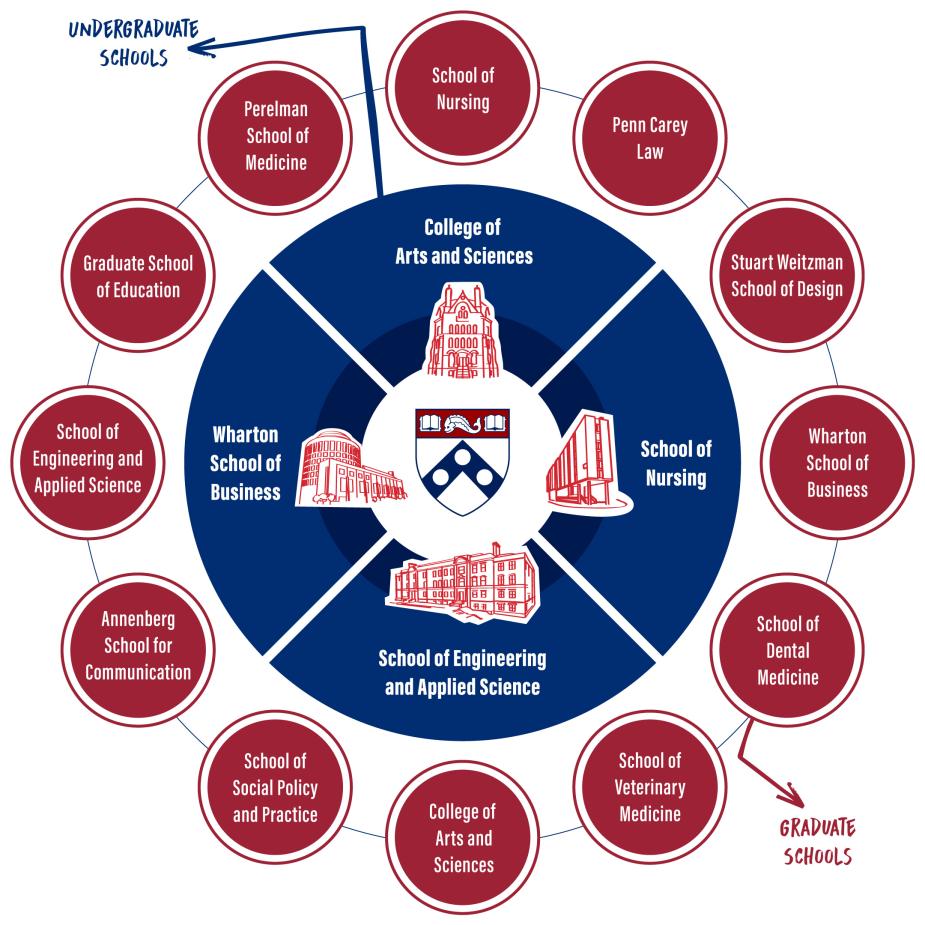 Graphic showing the 4 undergraduate schools and 12 graduate schools