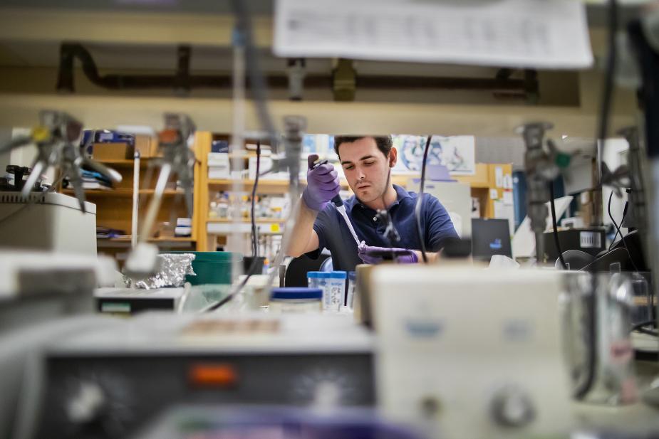 Penn biology major conducting cellular research.