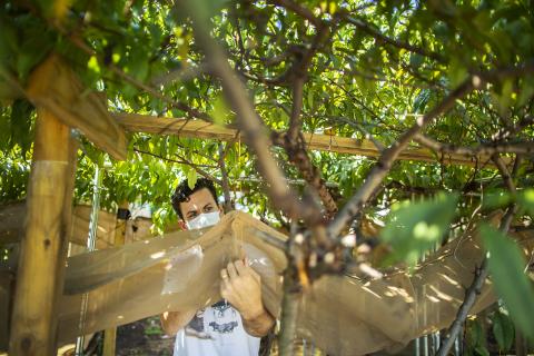 Student working on sustainability project outdoors