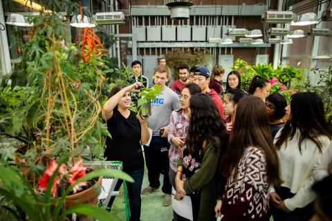 Students in class at the Penn greenhouse