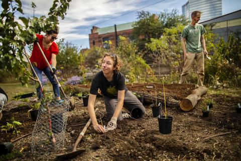 Student planting in the Penn Orchard