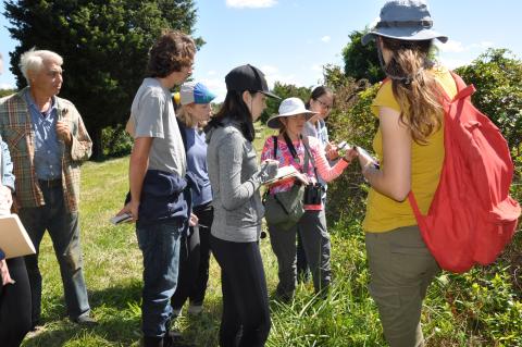 Students in the field