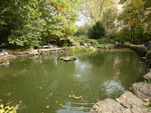 Penn's biopond