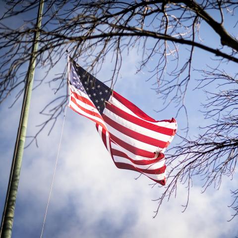 American flag against blue sky and tree branches
