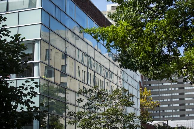 Reflections of buildings among trees