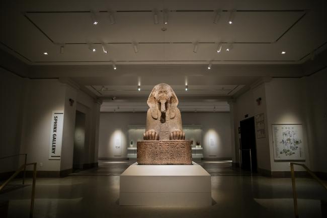 Sphinx at the Penn Museum