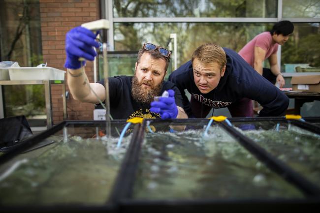 Student and professor conducting experiments with mussels