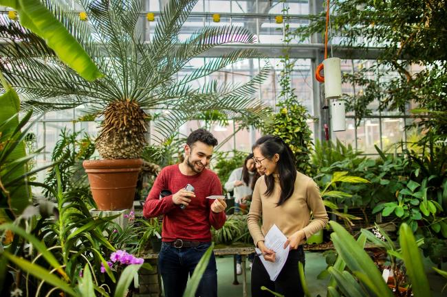 Students in Penn's greenhouse