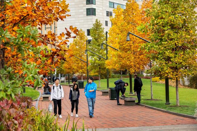 Students walking through campus on a fall day