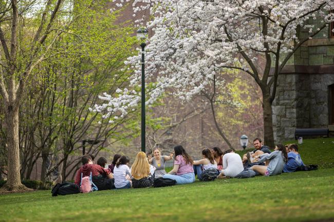Students sitting in a circle on the lawn under a blooming Cherry tree