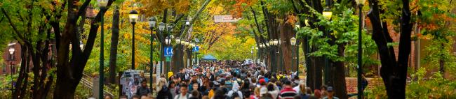 Students walking through campus in the fall