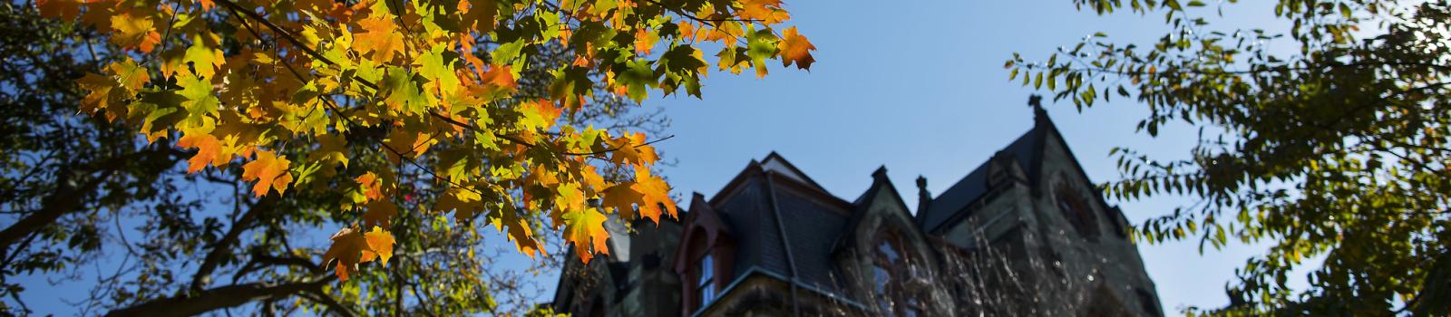 College Hall through fall leaves