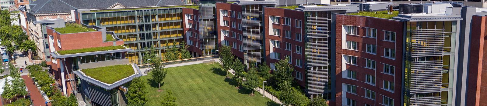 View of Penn's green roofs and lawn at Lauder College House