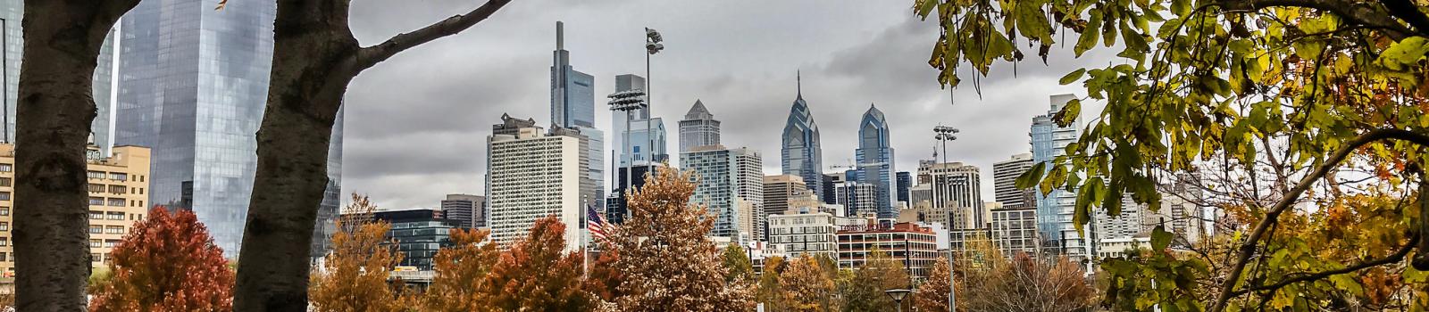 View of Philadelphia skyline through trees