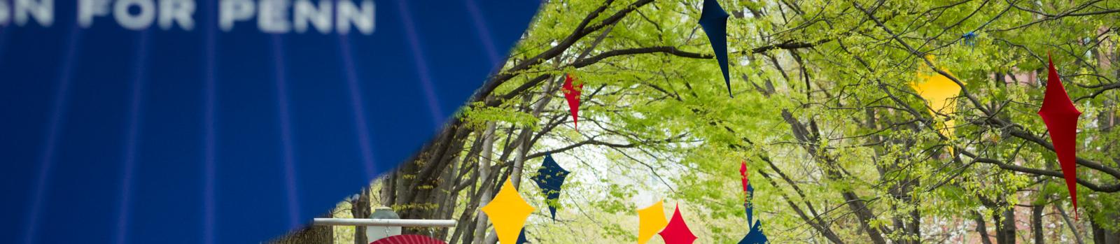 Trees on Penn's campus decorated with Kites